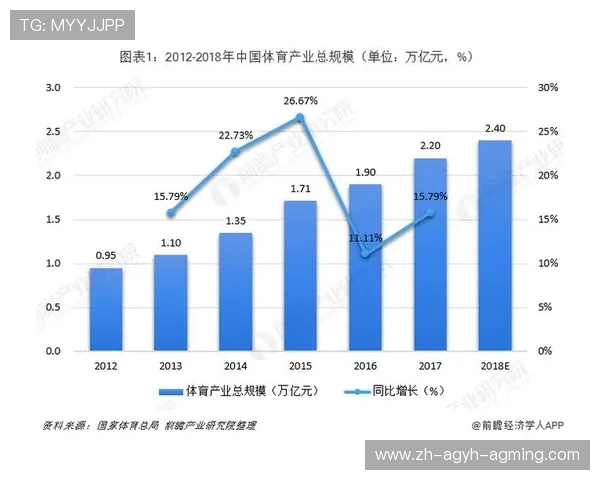 篮球运动员职业生涯规划中的挑战与机遇探讨