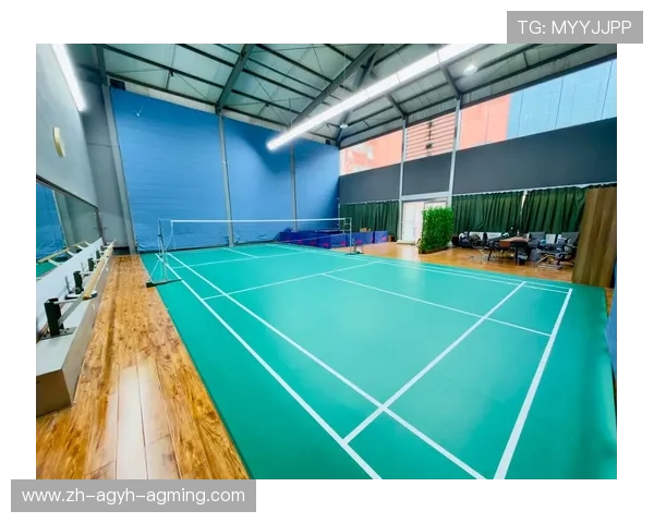 羽毛球球技精进