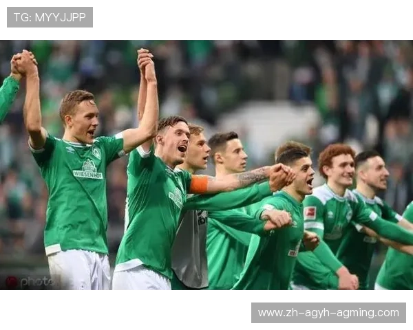 青年足球队在德甲中的重要作用与培养体系分析