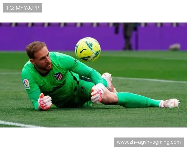 科隆参与德甲几支球队？城市足球资源盘点